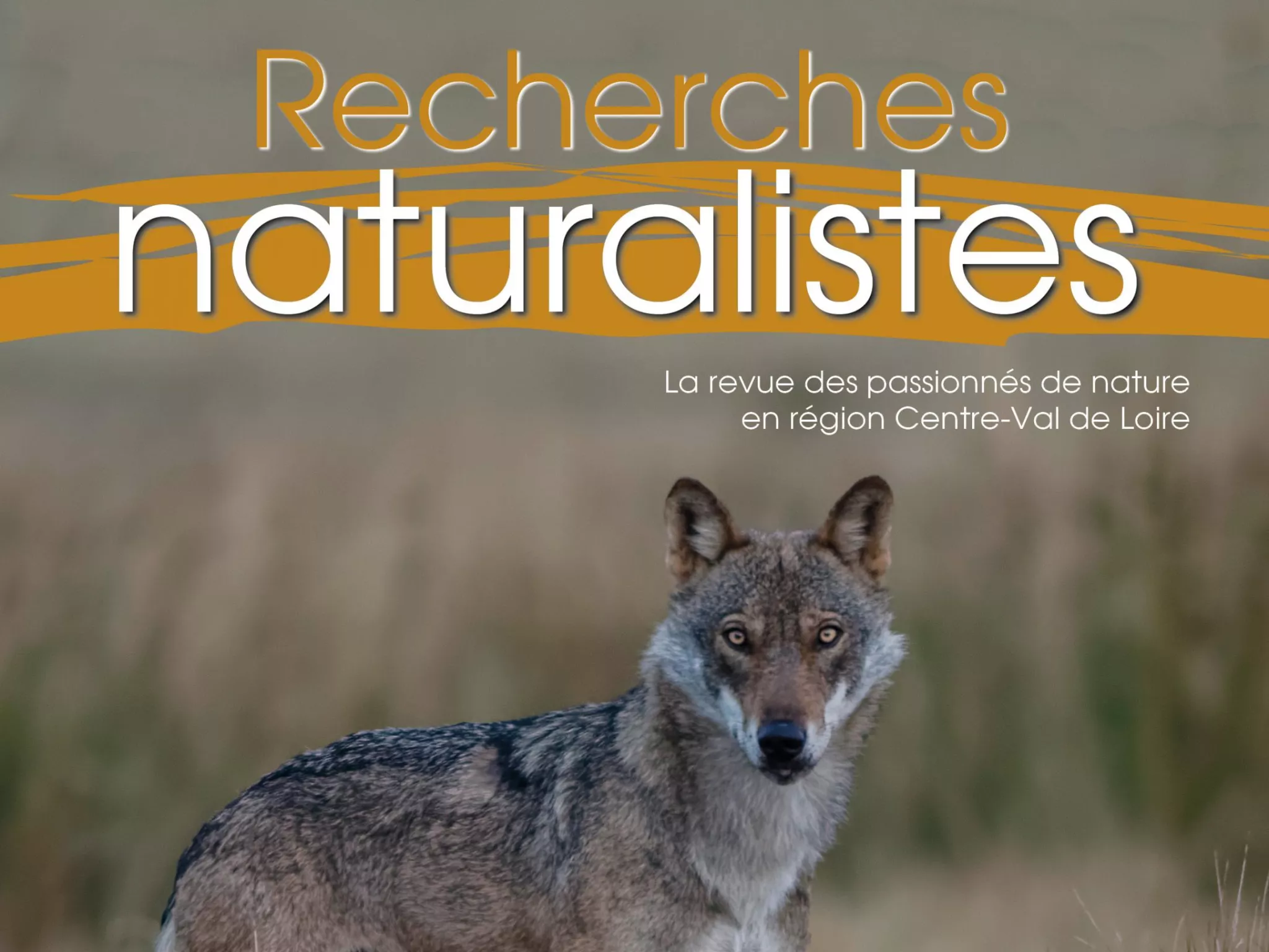 Couverture Recherches Naturalistes 13