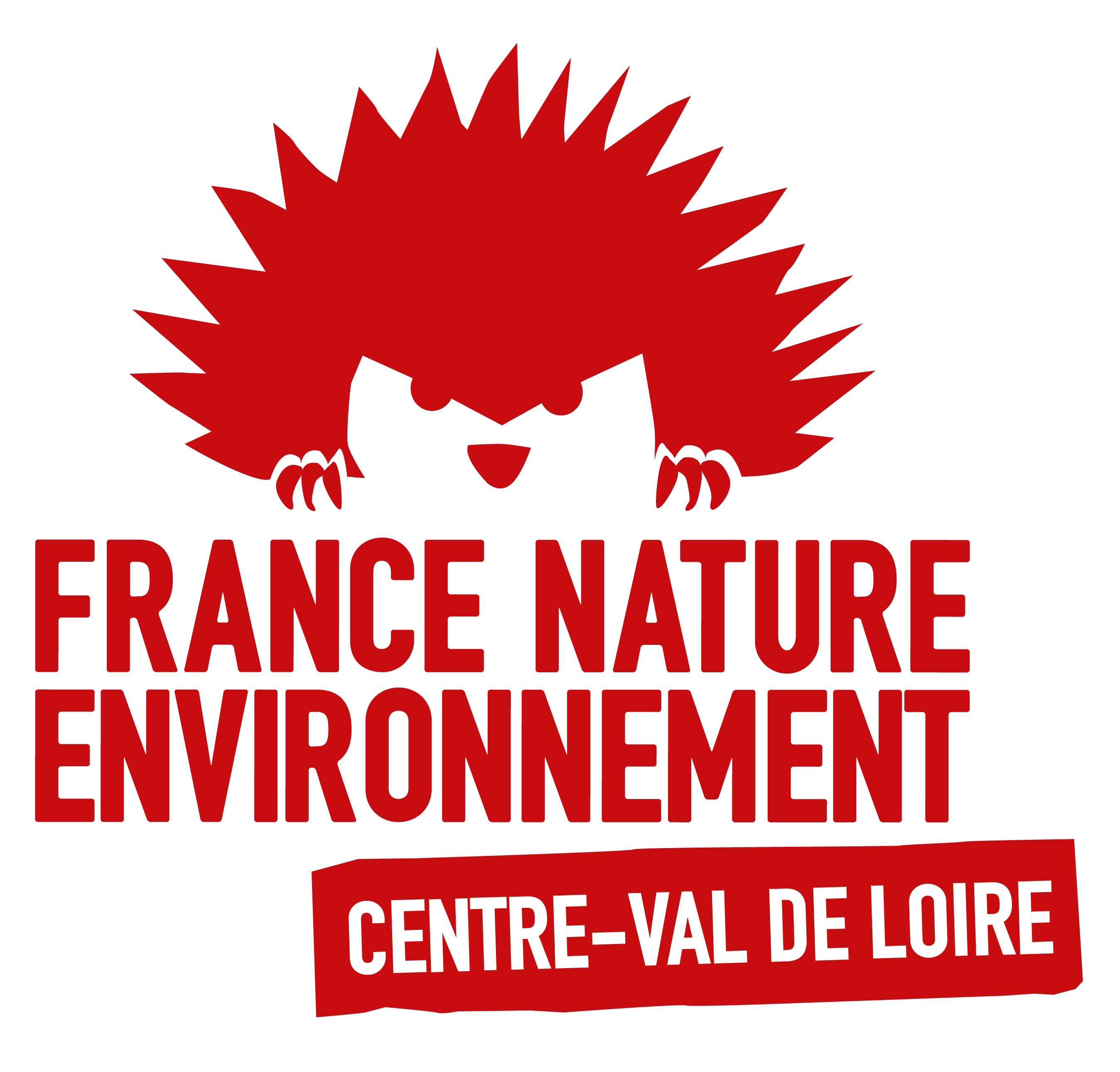 Logo FNE CVL