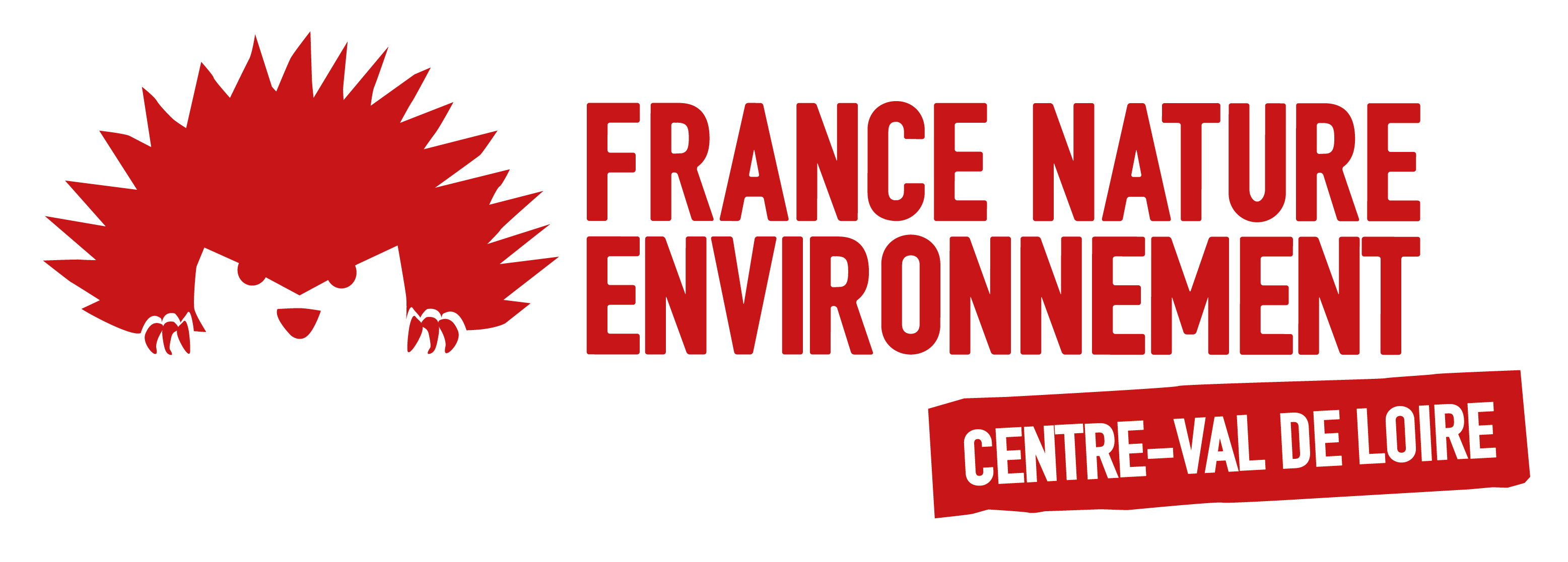 Logo FNE cvl