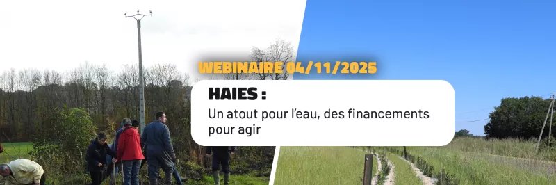 Webinaire