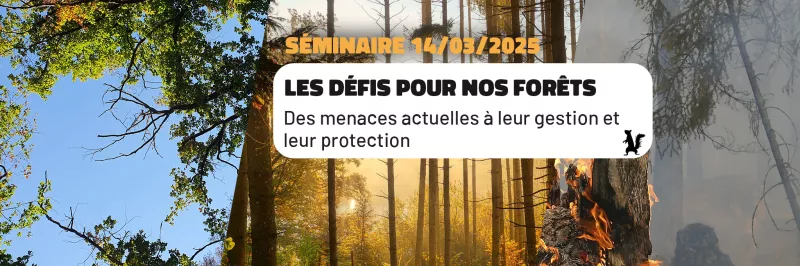 Séminaire : Les défis pour nos forêts