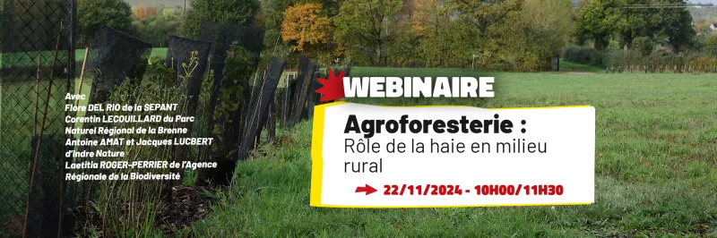 Webinaire agroforesterie