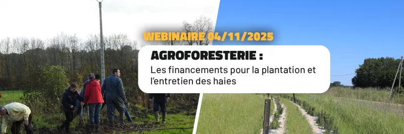 Webinaire agroforesterie