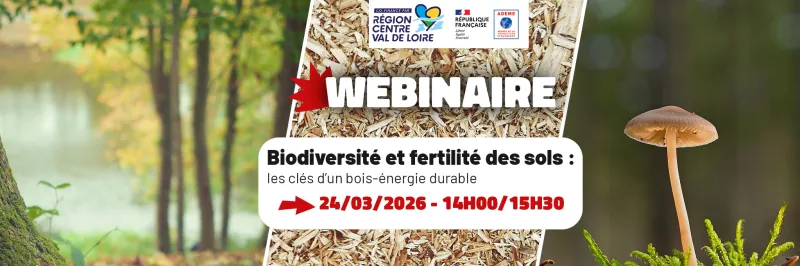 Biodiversité et fertilité des sols