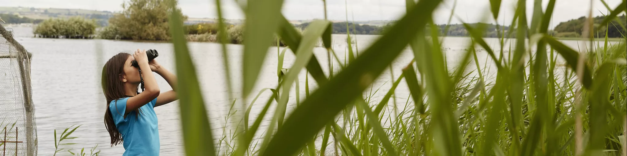 Une jeune fille observe les oiseaux