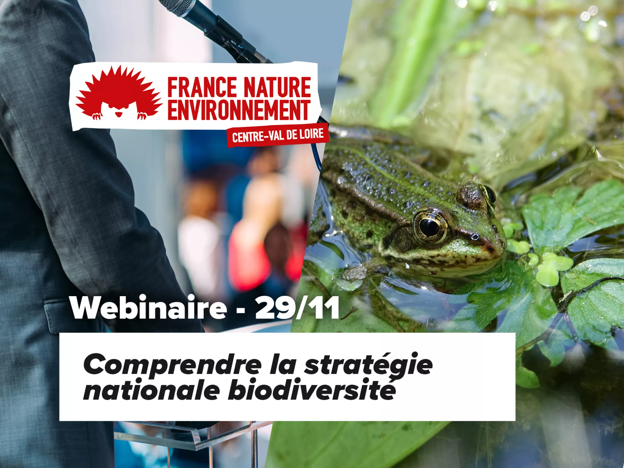 affiche webinaire