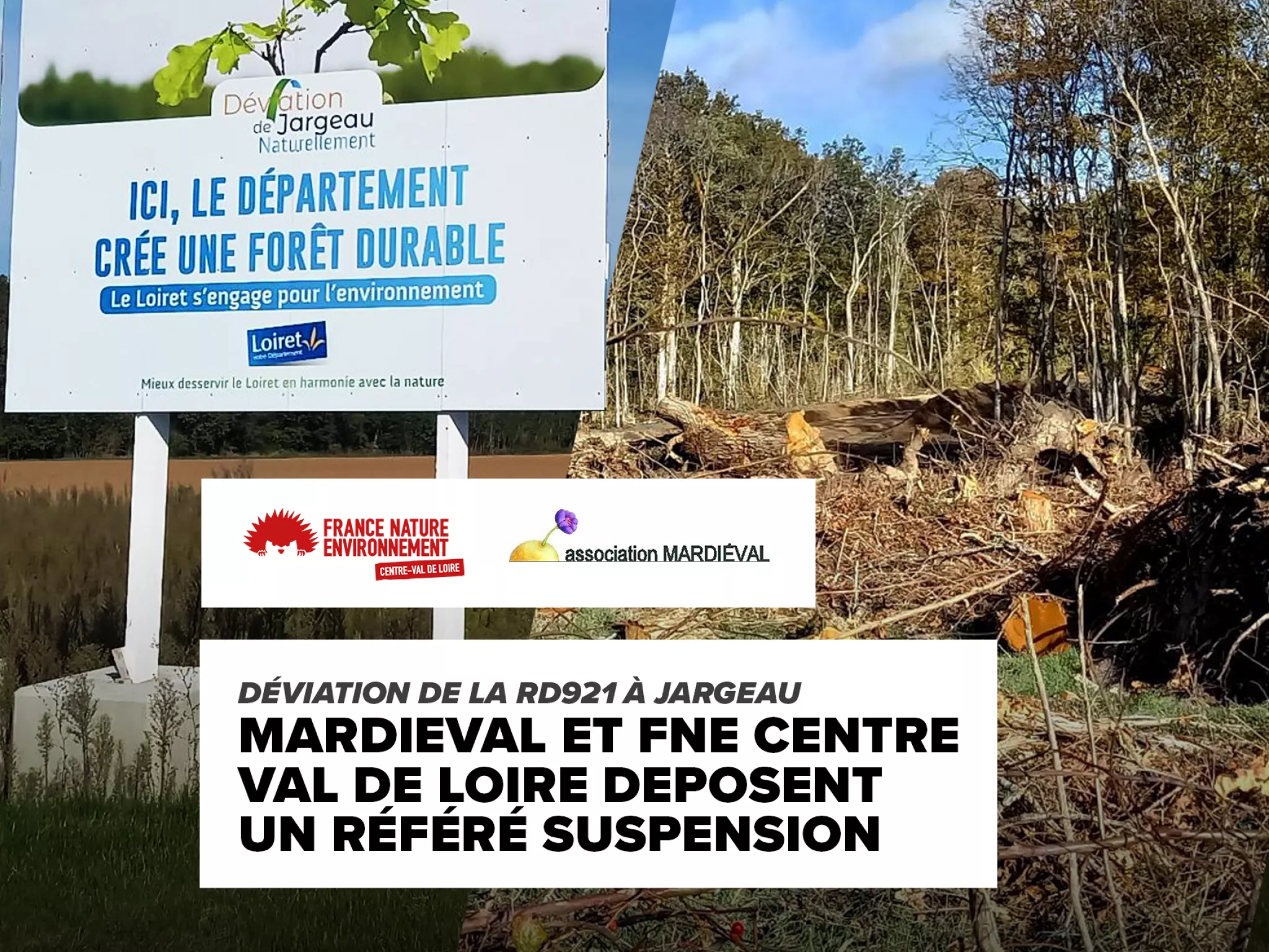 Déviation de la RD921 à Jargeau - Mardiéval et FNE Centre- Val de Loire déposent un référé suspension
