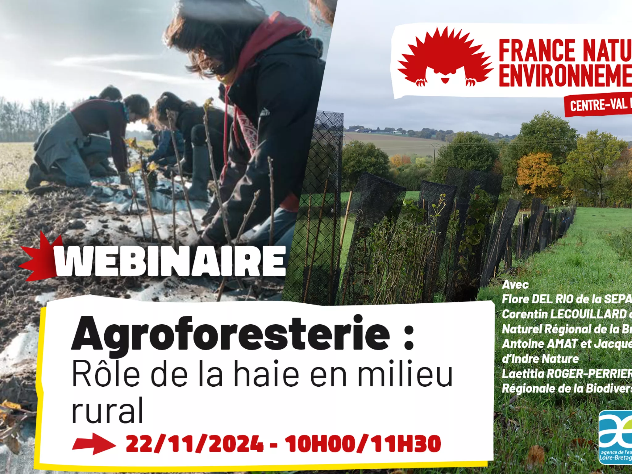 Webinaire Agroforesterie - Le rôle de la haie en milieu rural