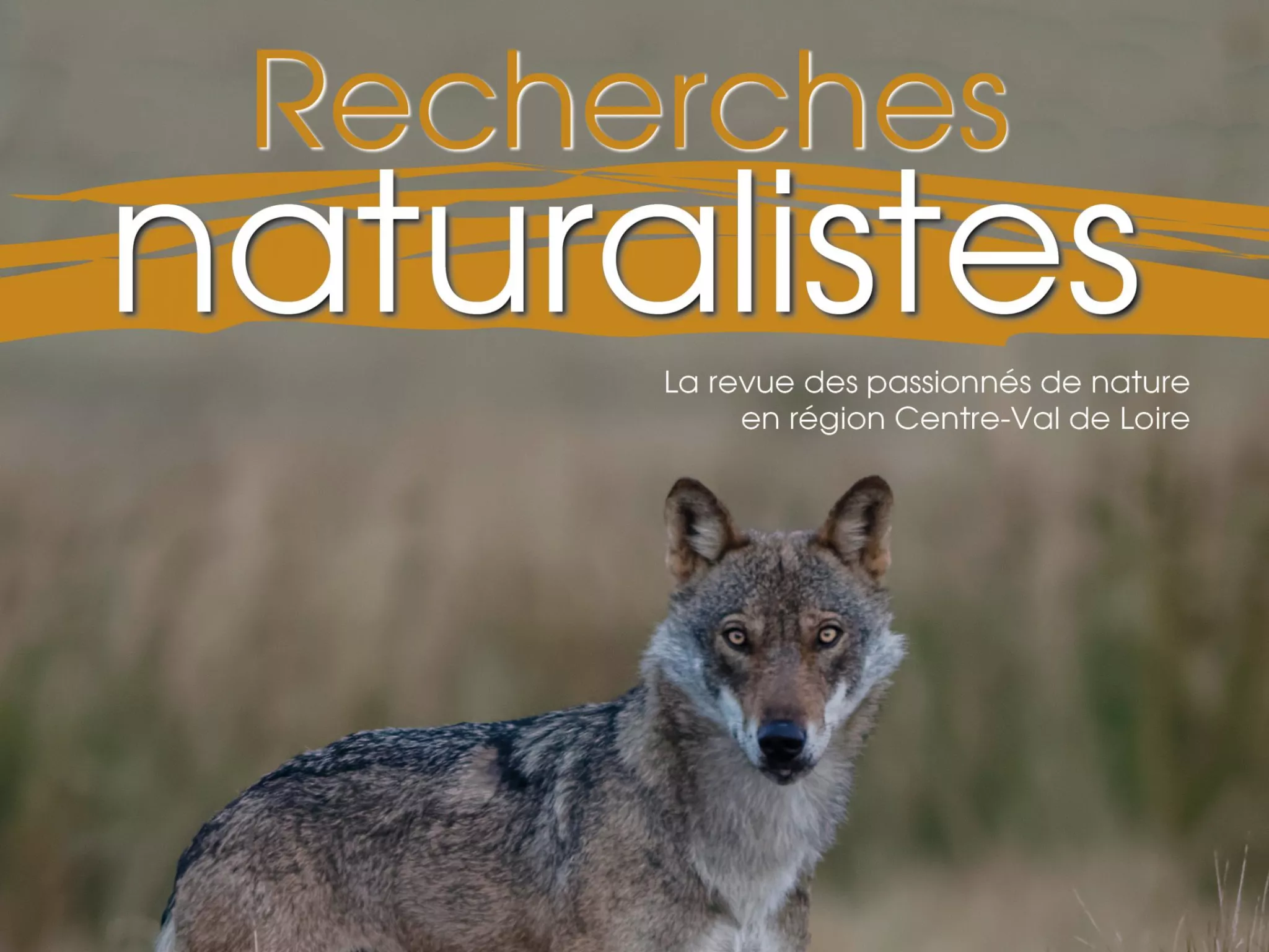 Couverture Recherches Naturalistes 13 Couverture Recherches Naturalistes 13