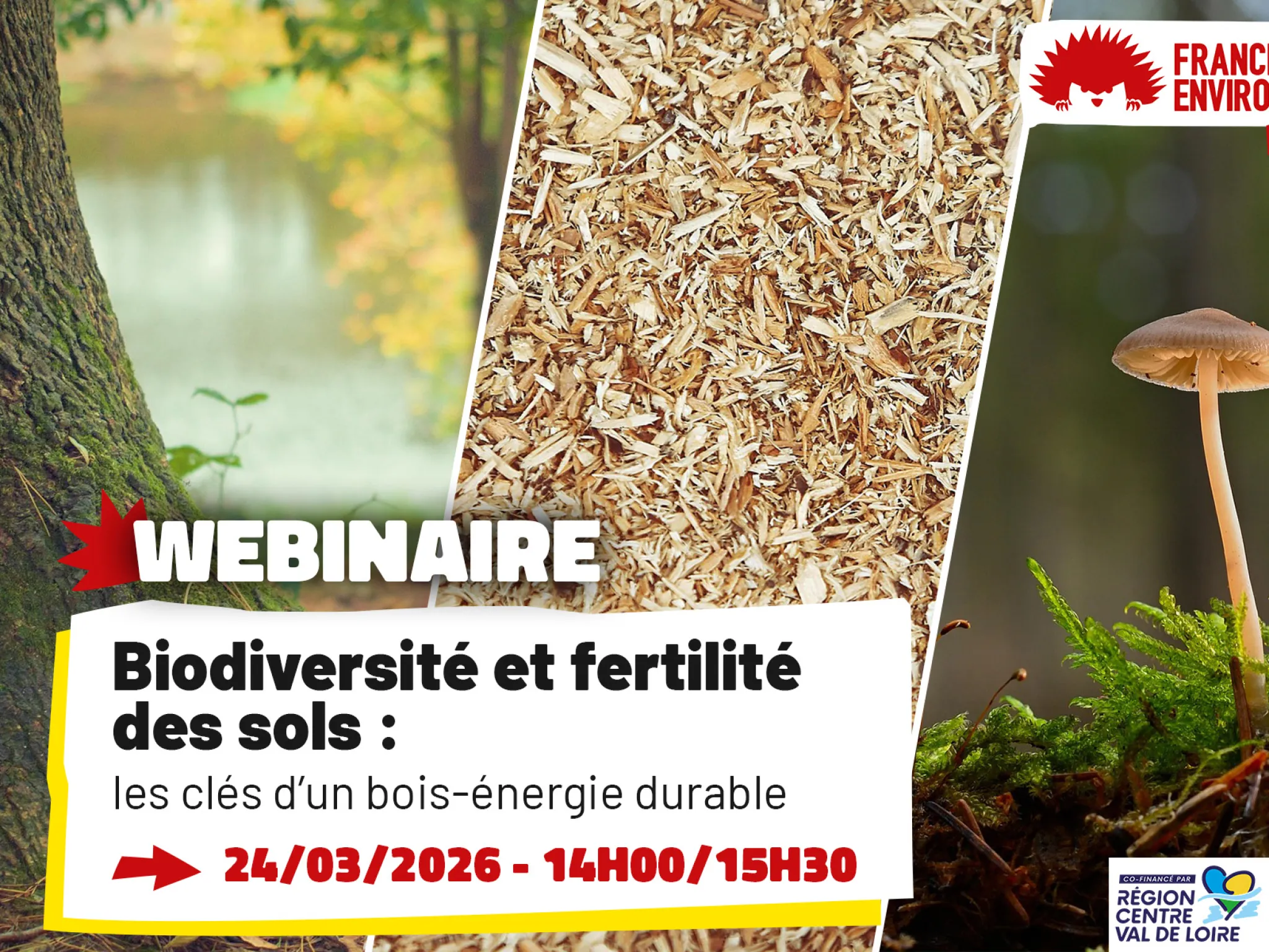 Biodiversité et fertilité des sols