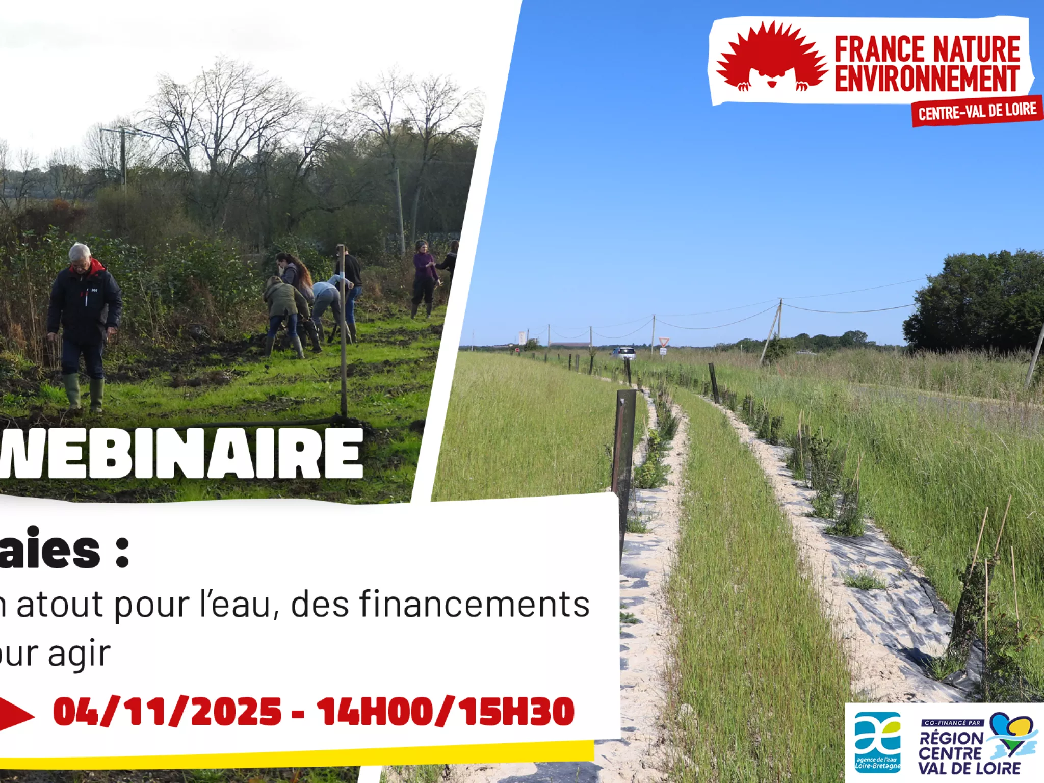 webinaire