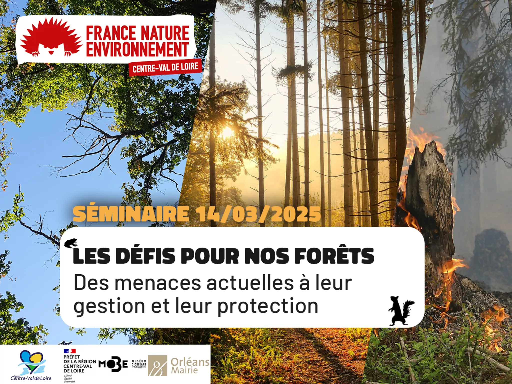 Les défis pour nos forêts