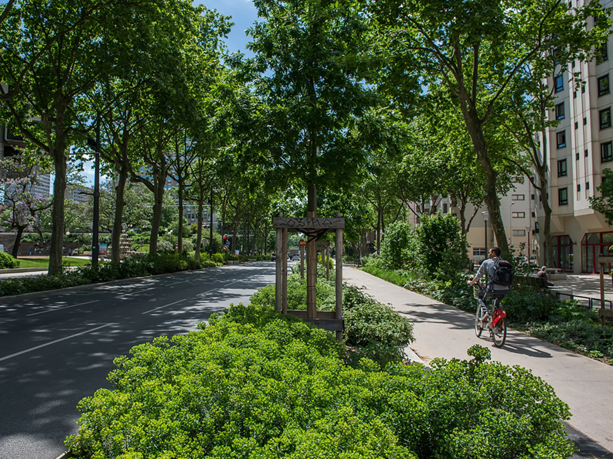 Voie végétalisée à Lyon