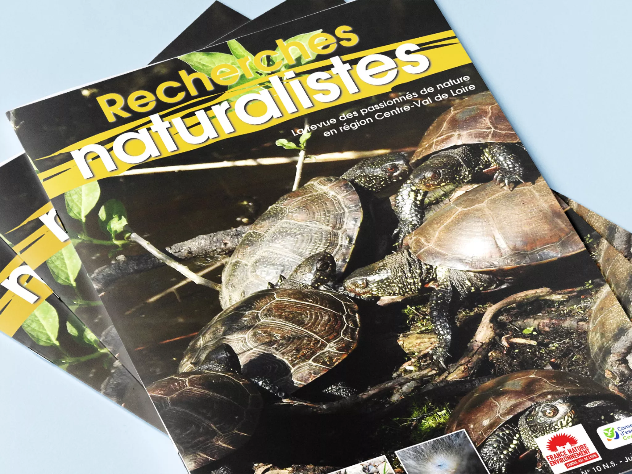 Couverture Recherche Naturaliste N°10 Couverture Recherche Naturaliste N°10