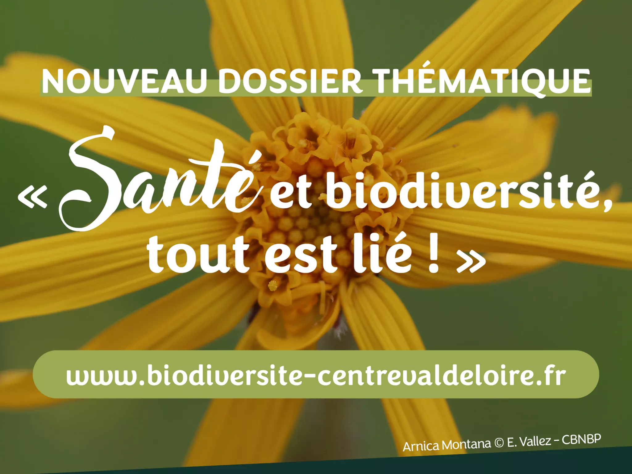 Santé et biodiversité