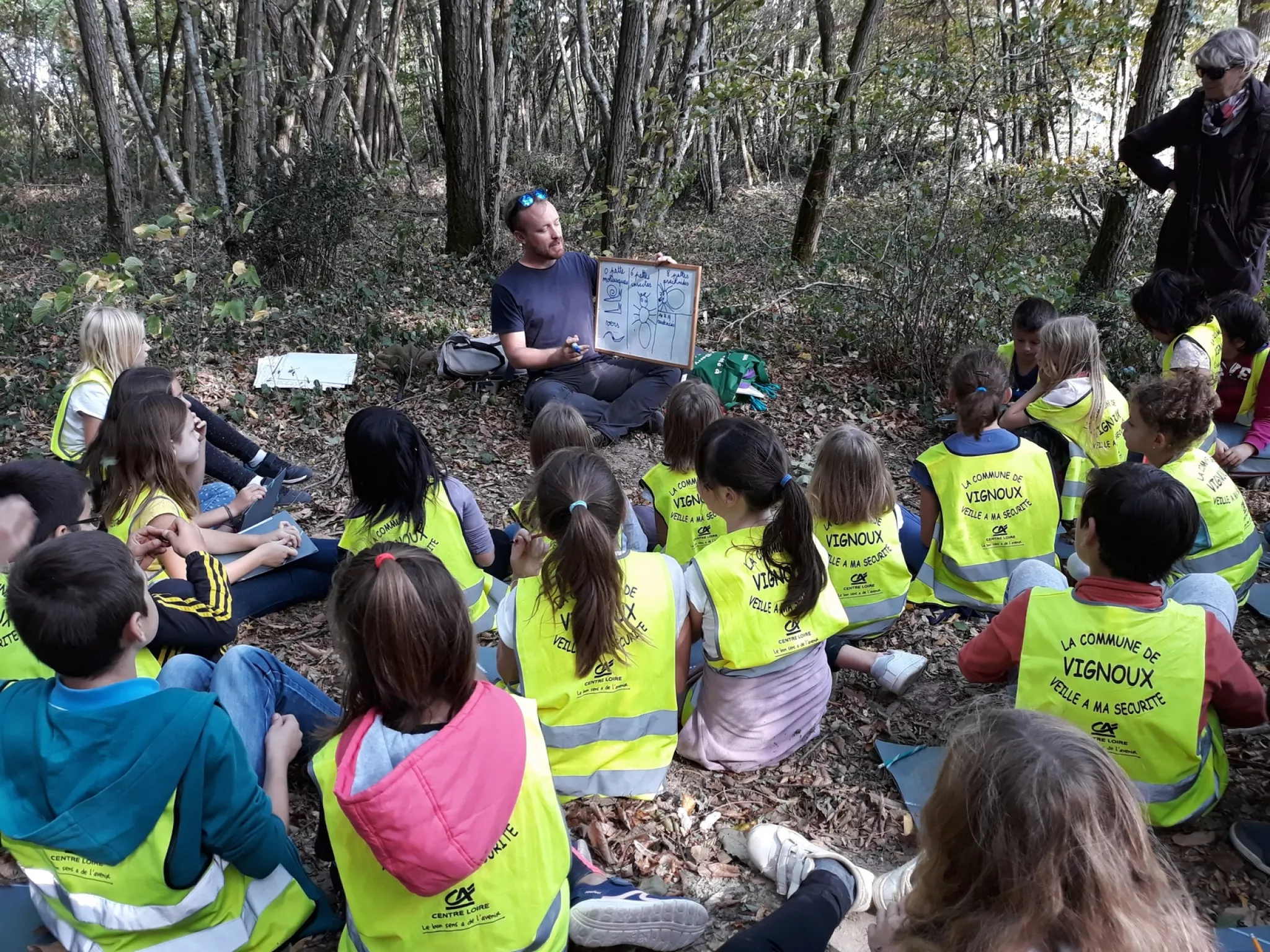 Education à l'environnement