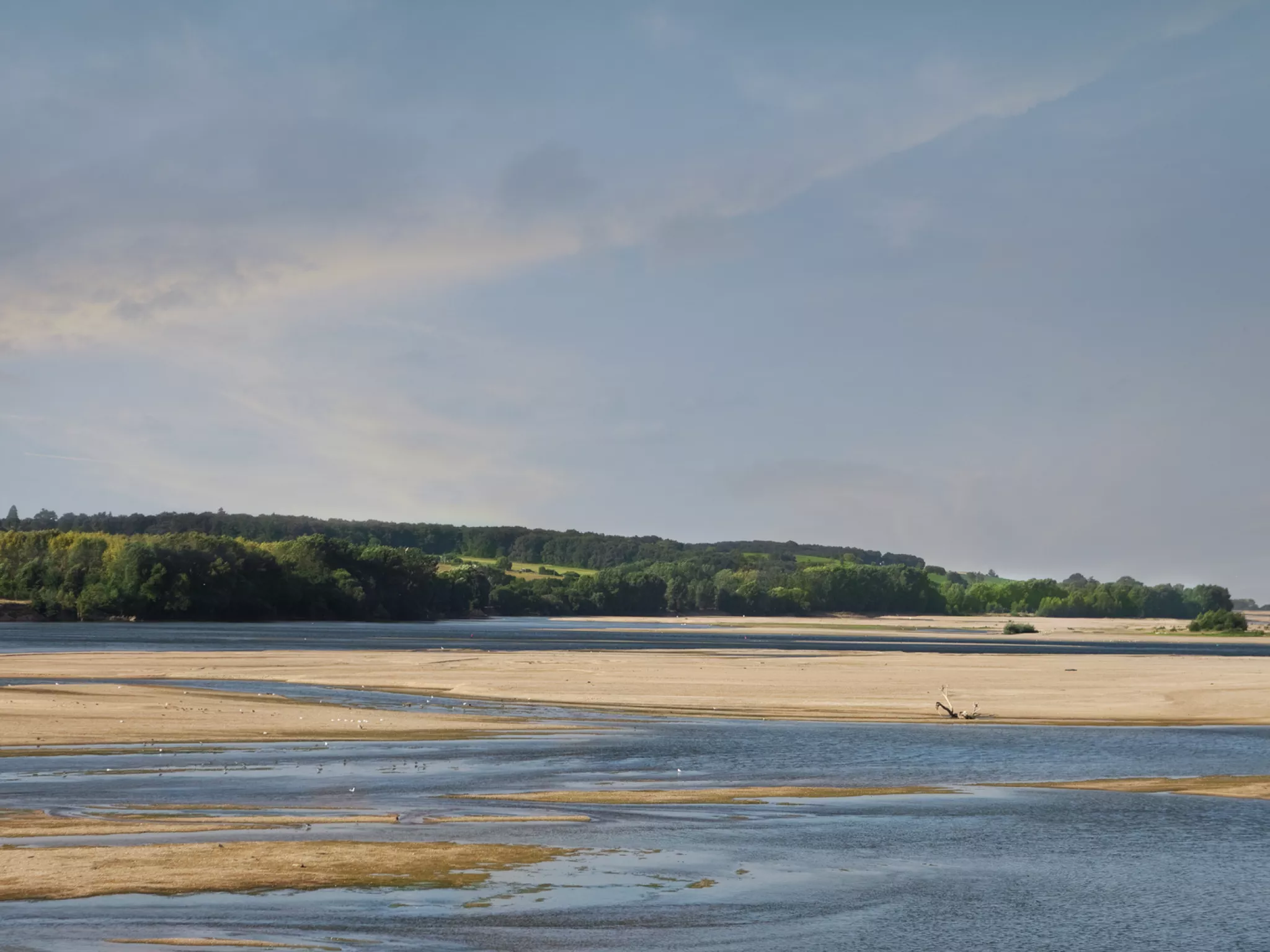 Rivage de la Loire