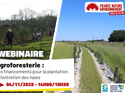 webinaire haie