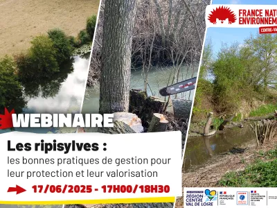 webinaire ripisylves webinaire ripisylves