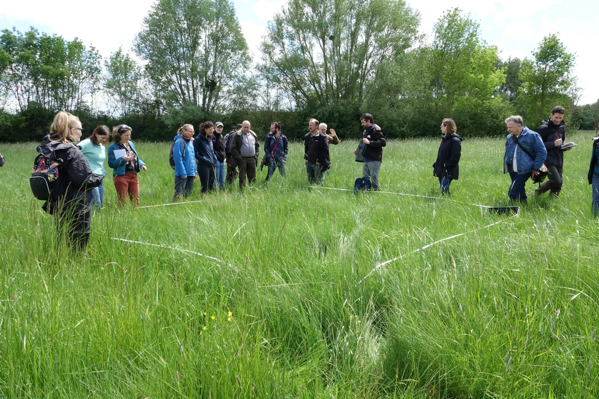 Atelier d'identification d'une zone humide par relevé floristique complet