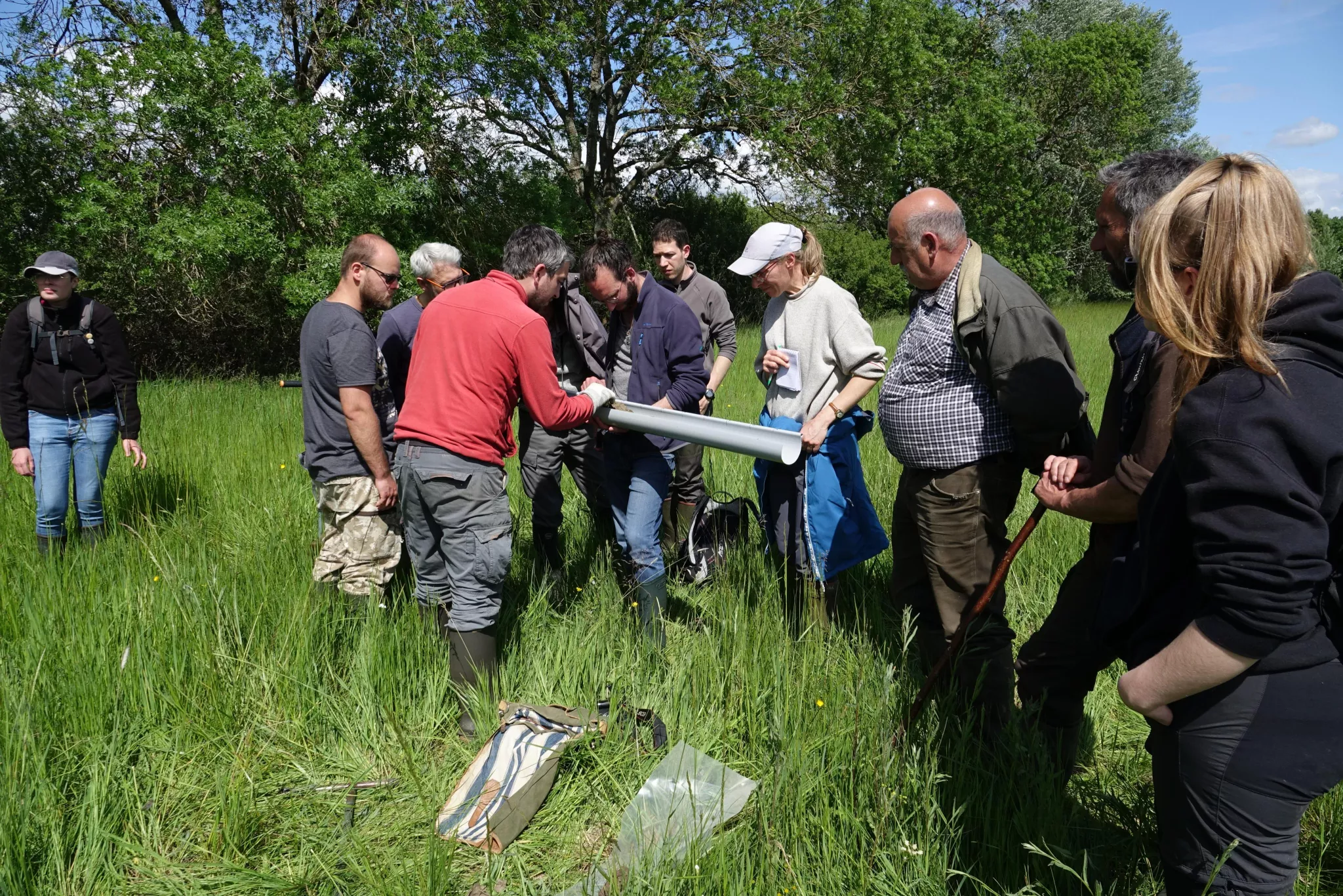 Atelier d'identification d'une zone humide par relevé phytosociologique et analyse pédologique