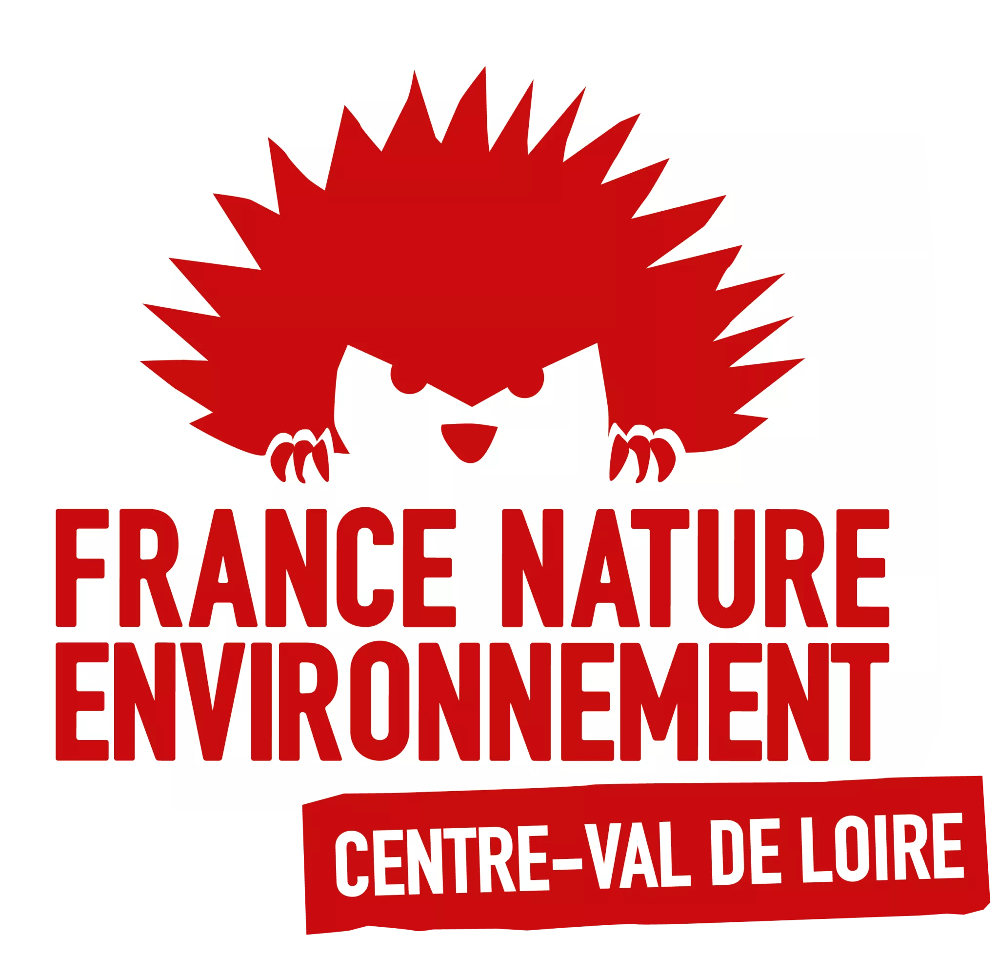 Logo FNE CVL carré cartouche