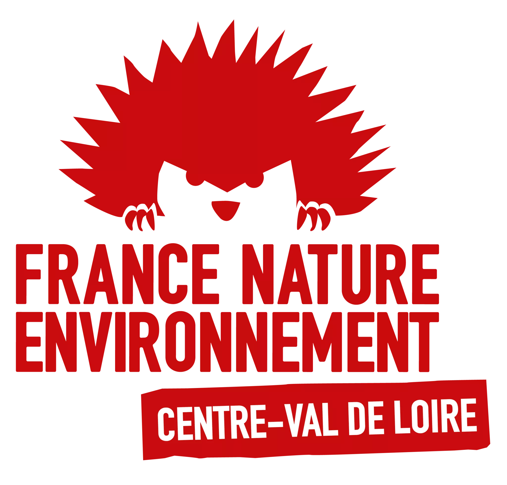 Logo FNE CVL carré transparent