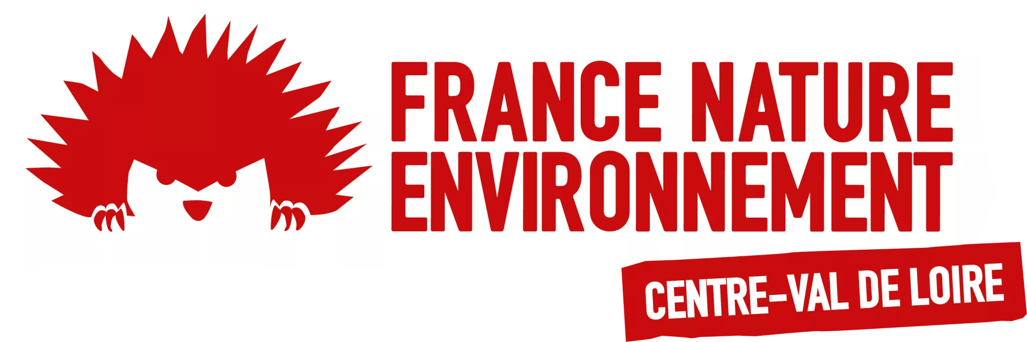 Logo FNE CVL rectangle cartouche