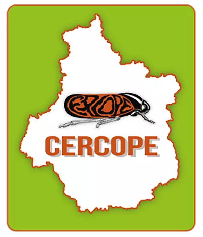 CERCOPE