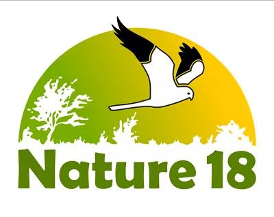 NATURE 18